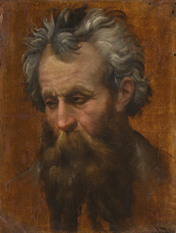 STUDY FOR THE HEAD OF A MAN LOOKING DOWN by Bartolomeo Passarotti