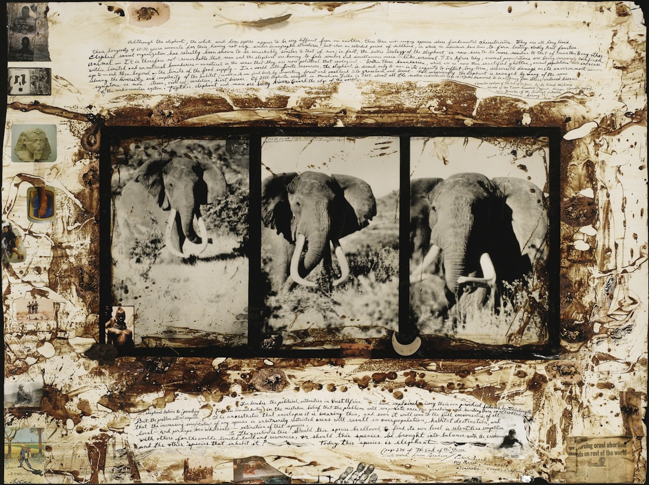 AHMED TRIPTYCH, MARCH 1962 by Peter Beard