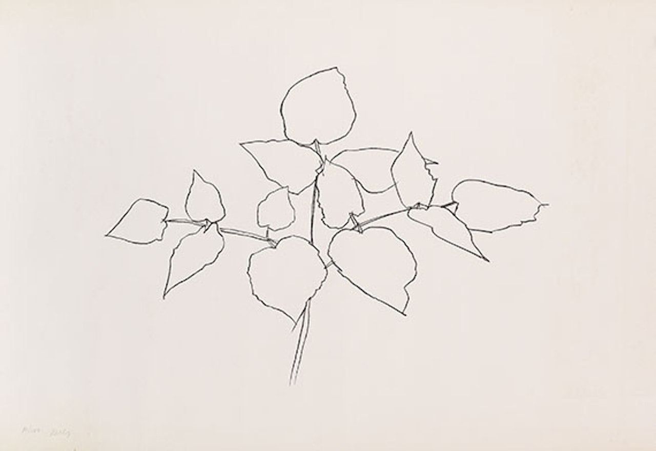 Woodland Plant by Ellsworth Kelly