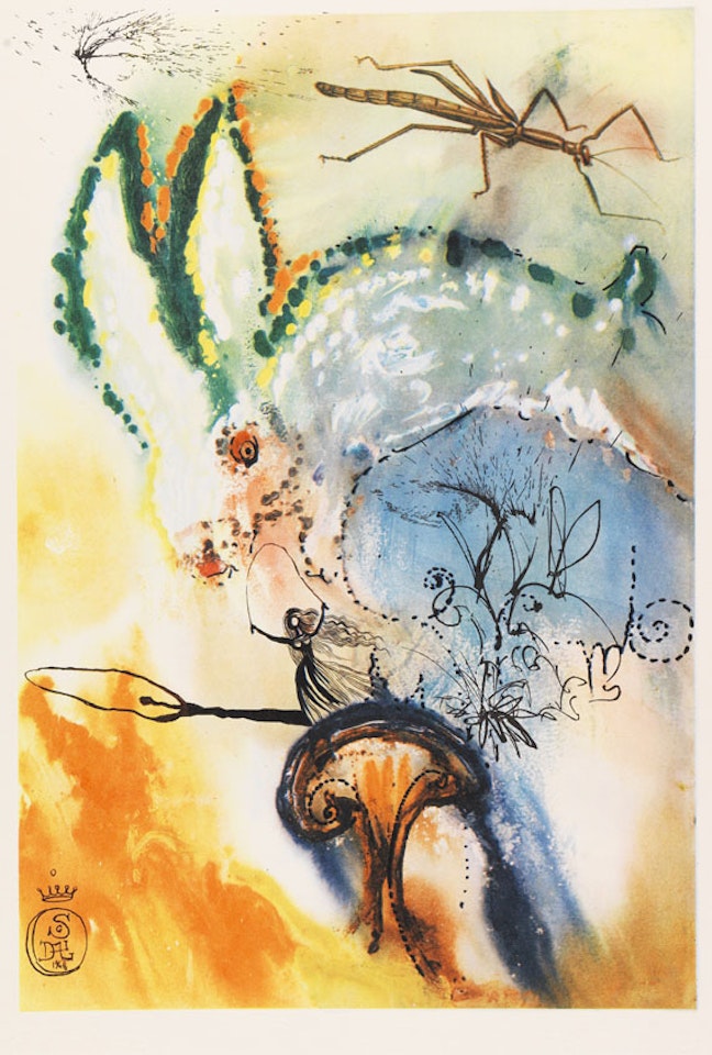 Alices Adventures in Wonderland by Salvador Dali