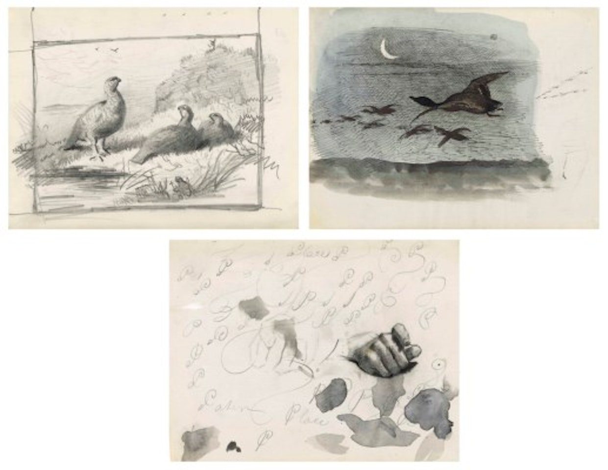 Seven sketchbooks of natural history studies, the majority of birds, some otters, some landscapes at Kelso, one study of a dog entitled 'Suspense' and also including studies after the antique, and life studies by Archibald Thorburn