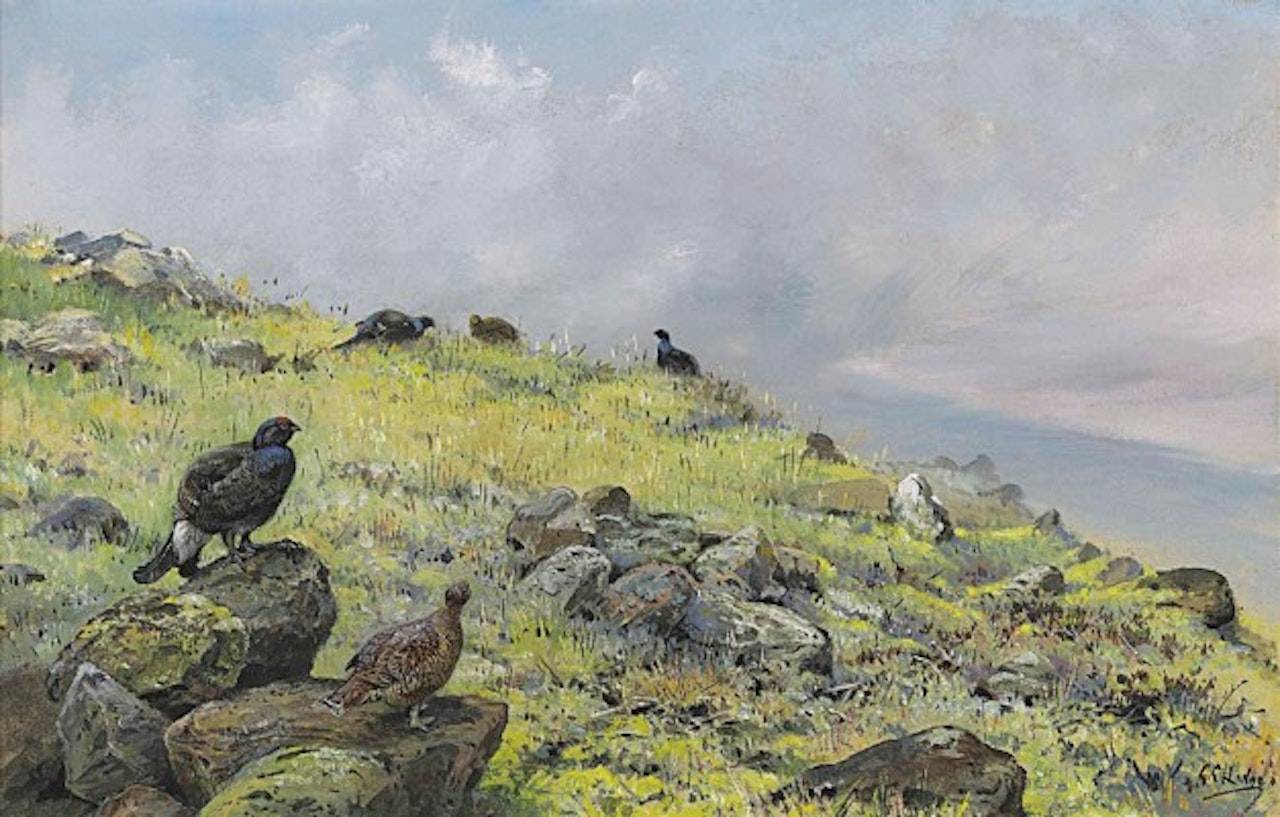 Blackgame in a rocky landscape by George Edward Lodge