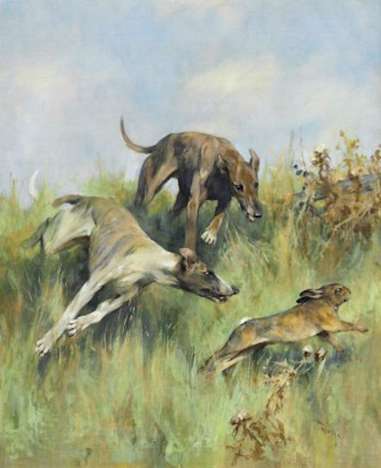 Rabbits pursued by greyhounds by Arthur Wardle
