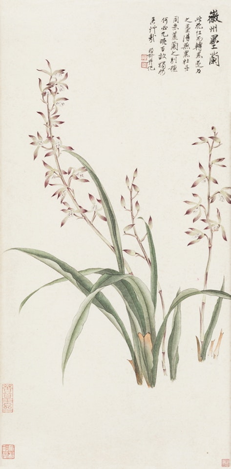 Orchid by Xie Zhiliu