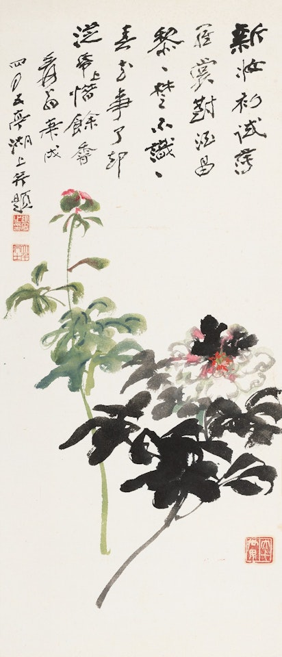 Paeonia by Zhang Daqian