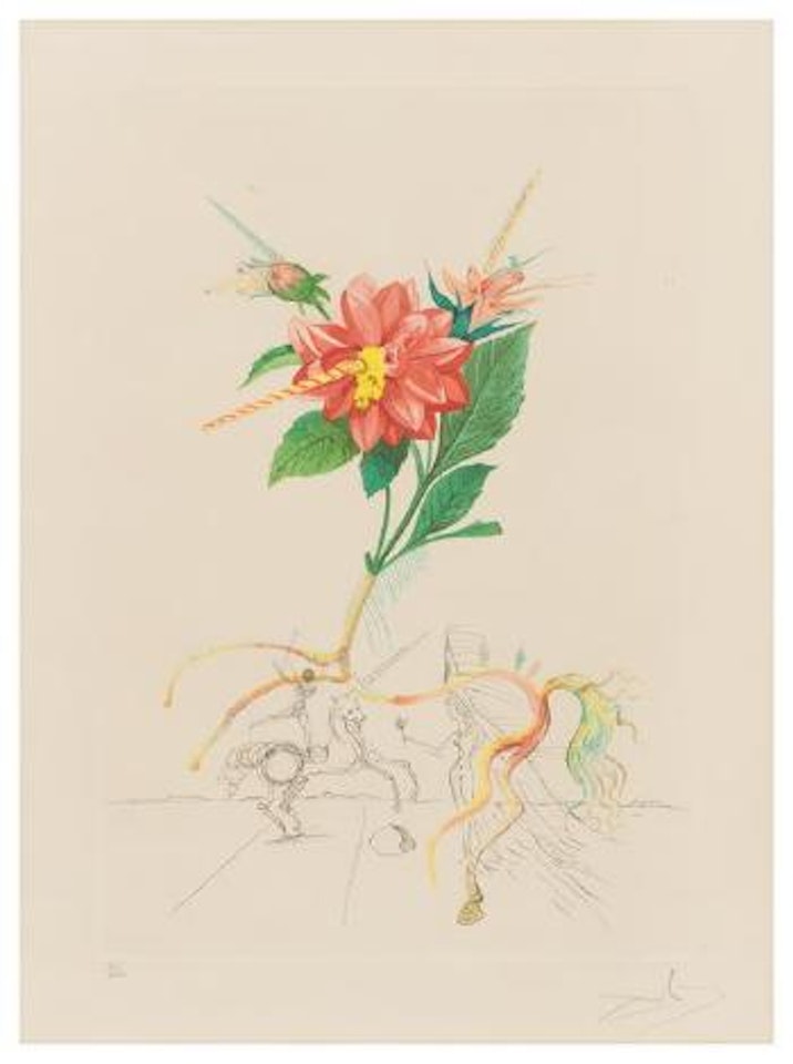 Dahlia Unicornis (from Flora Dalinae) ,
1968 by Salvador Dali