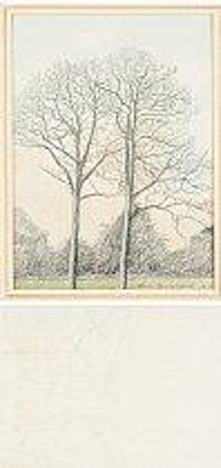 Arbres avec ramures; Étude de jambes d’Adam et Eve ,
1918 by Léon Spilliaert