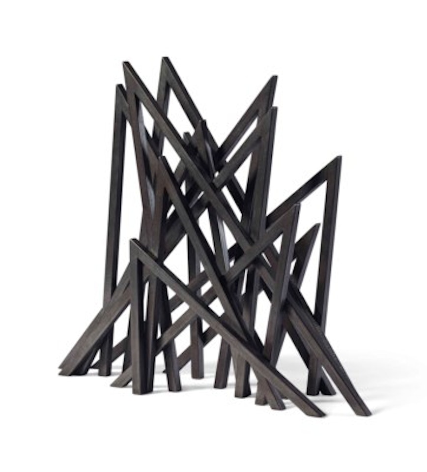 12 Acute Unequal Angles by Bernar Venet