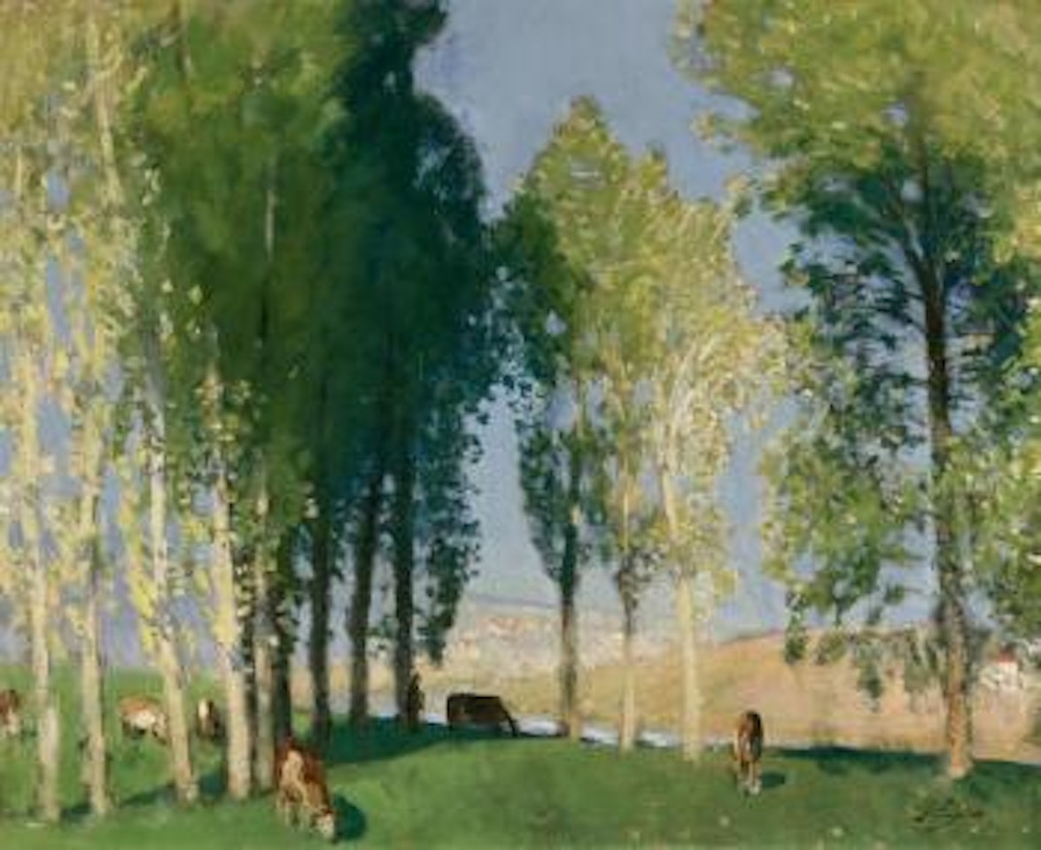 Sous-bois ensoleillé , by Pierre Eugène Montezin