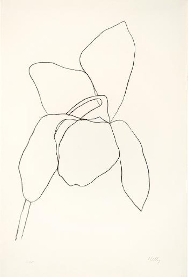 Cyclamen I ,
1964
-
1965 by Ellsworth Kelly