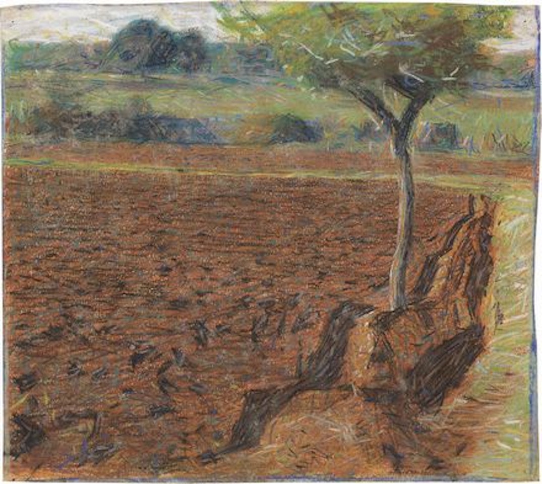 Paesaggio con un albero by Giacomo Balla