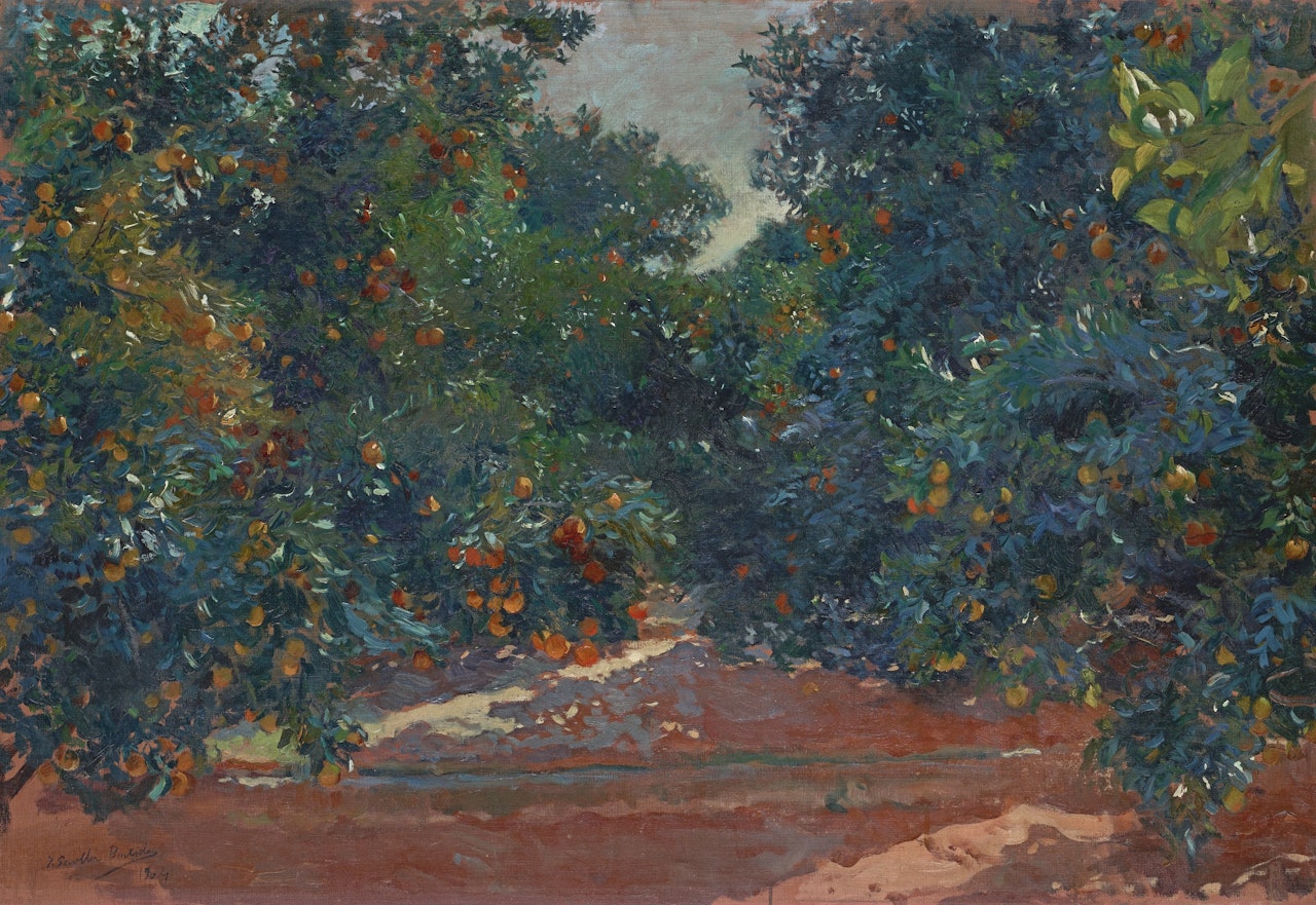 NARANJOS DE ALCIRA (ORANGE TREES IN ALCIRA) by Joaquin Sorolla Y Bastida