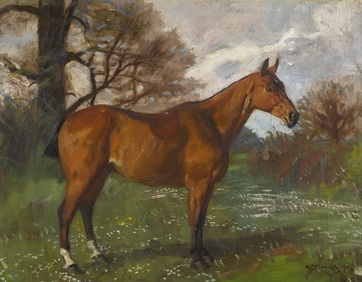 A HUNTER IN A MEADOW by Alfred James Munnings