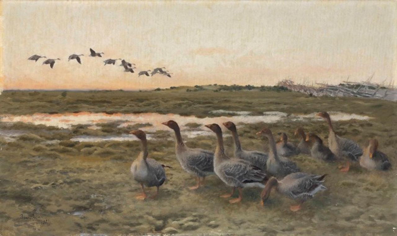Bean Geese in a marshy Landscape by Bruno Liljefors