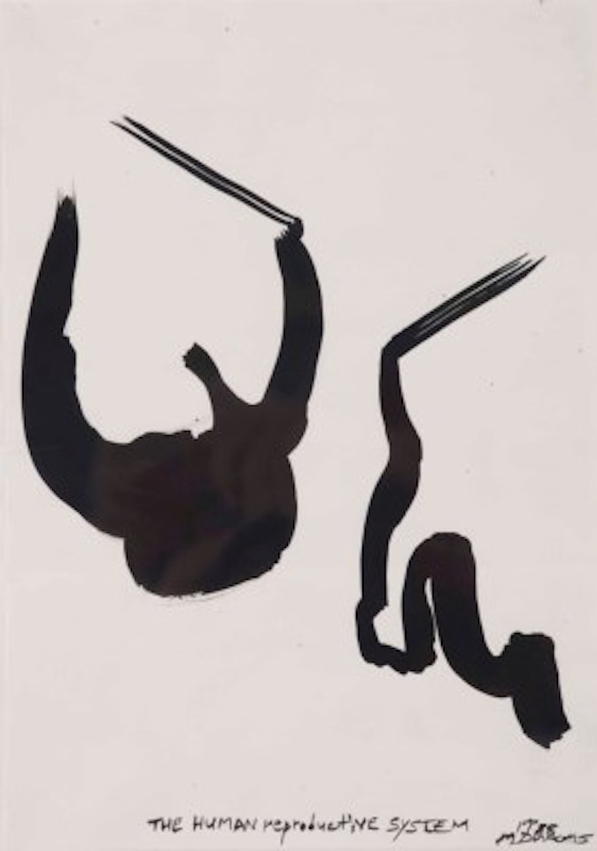 The Human Reproductive System by Marlene Dumas