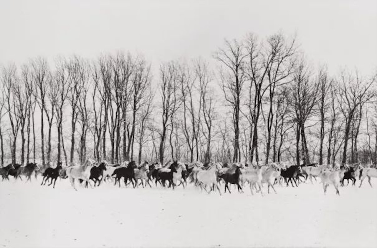 Győr, Hungary by Henri Cartier-Bresson