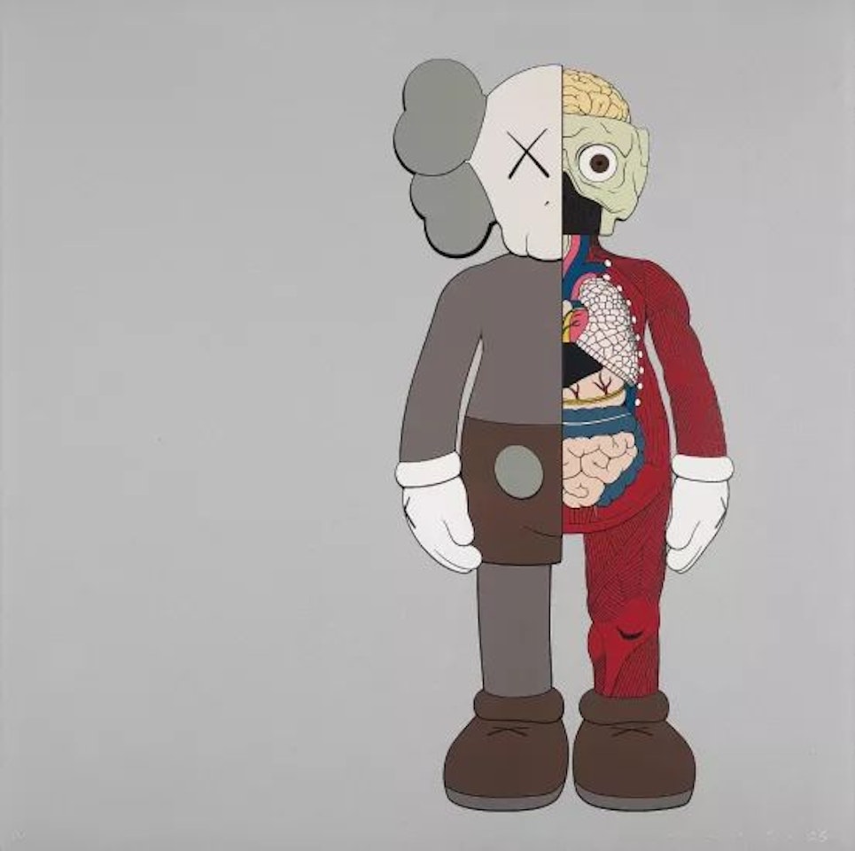 Dissected Companion by Kaws