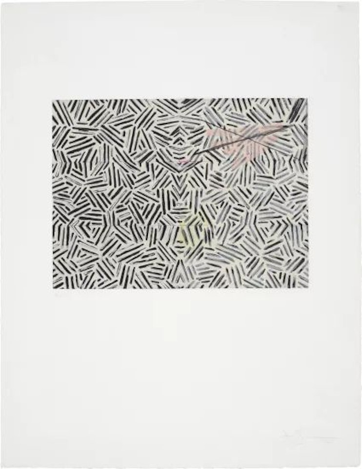 Corpse and Mirror by Jasper Johns