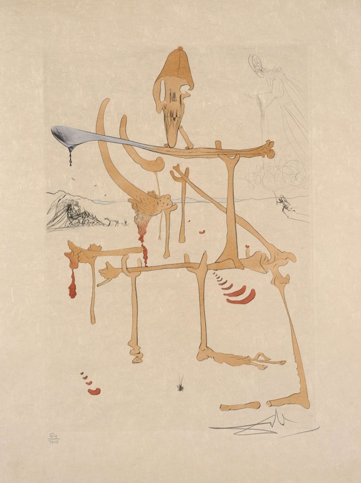 Quevedos visioner by Salvador Dali