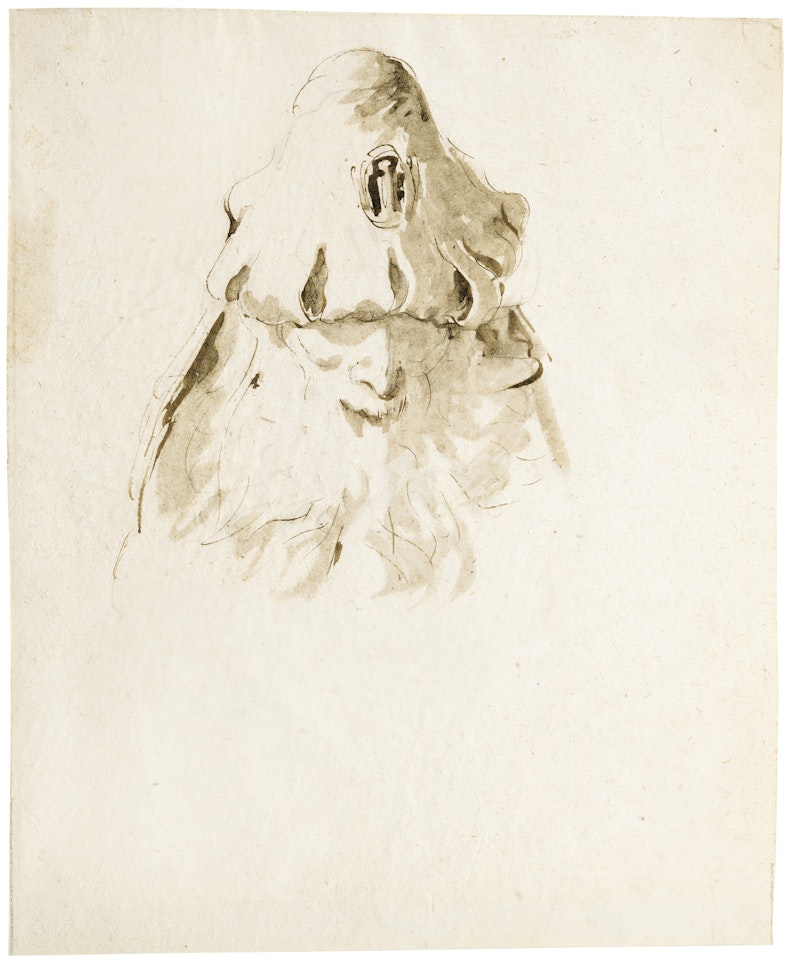 HEAD OF AN OLD MAN LOOKING DOWN by Giovanni Battista Tiepolo