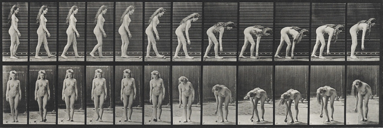 A Group Of 3 Plates From Animal Locomotion by Eadweard Muybridge