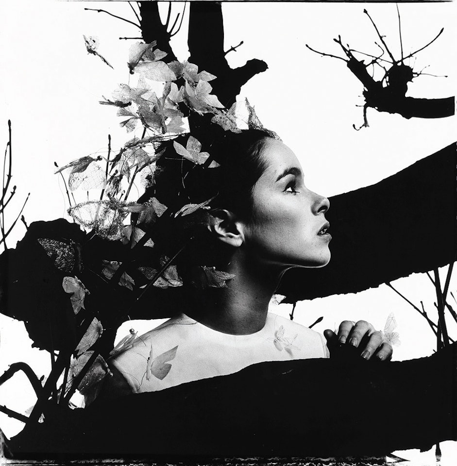 Geraldine Chaplin * Friends In Deed by Richard Avedon
