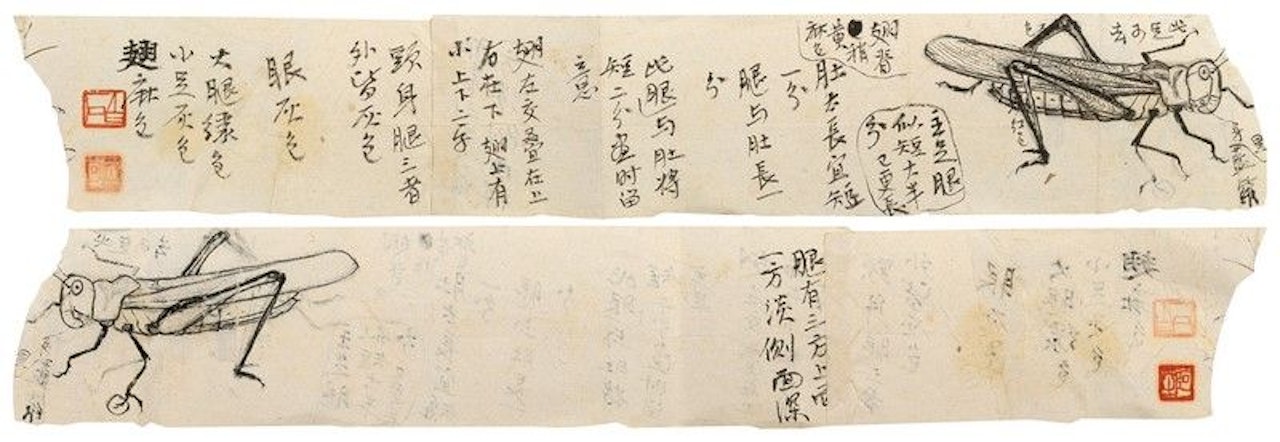 Sketches Of Insects by Qi Baishi