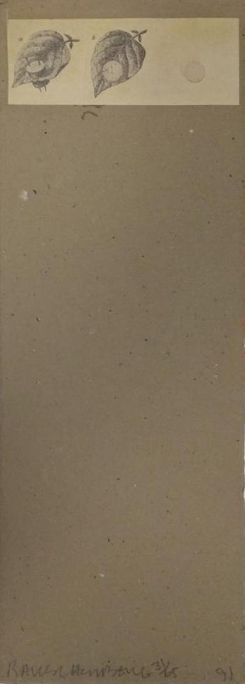 Untitled (Leaf) ,
1991 by Robert Rauschenberg