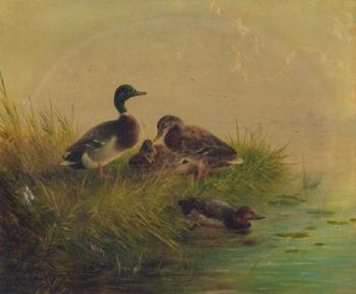 Ducks on a Riverbank ,
Circa
1850 by August Knip