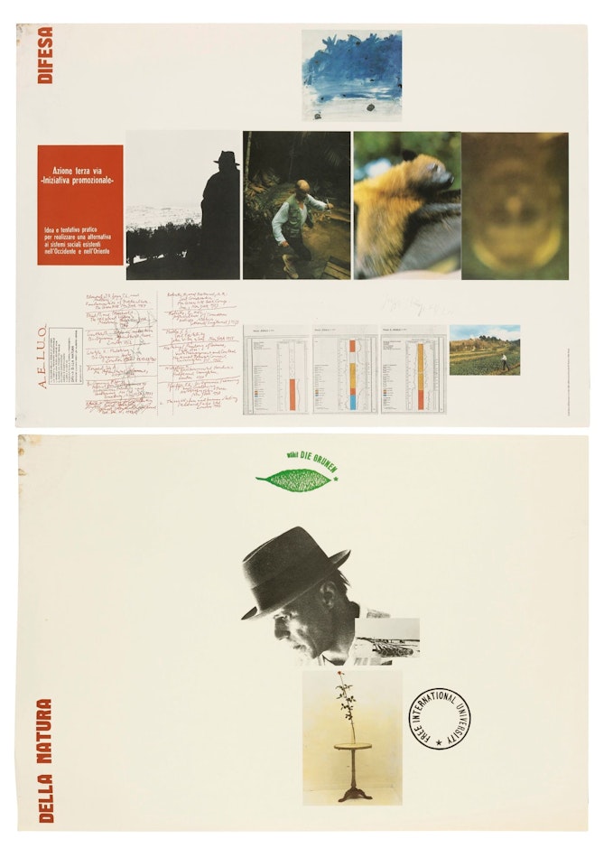 A.E.I.O.U. (DIFESA DELLA NATURA) (DIPTYQUE) by Joseph Beuys