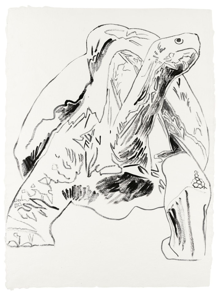 VANISHING ANIMALS, GALAPAGOS TORTOISE by Andy Warhol