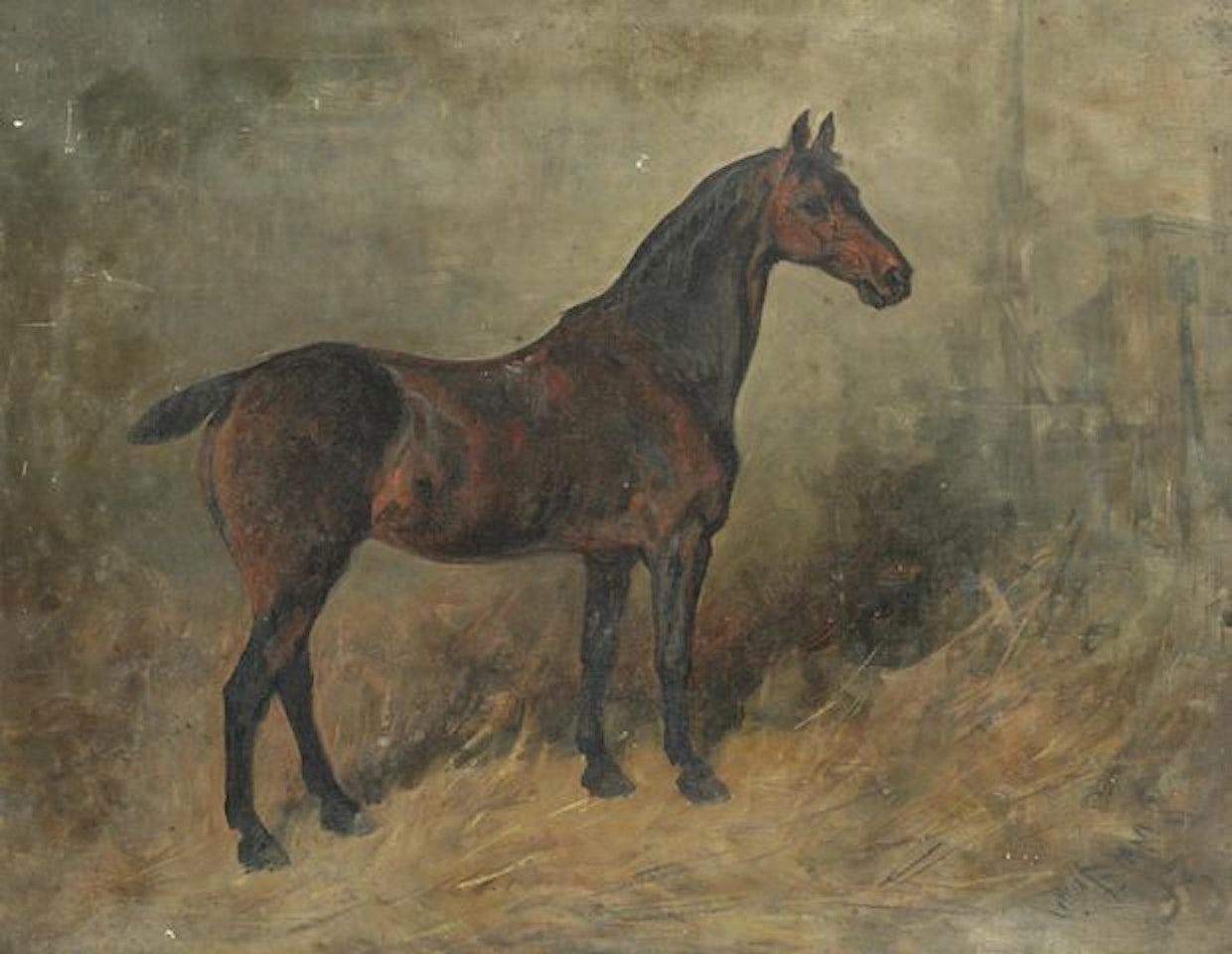 Study of a horse by John Emms