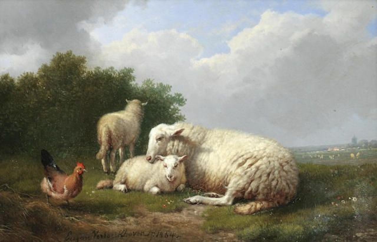 Sheep sheltering with a chicken by Eugène Joseph Verboeckhoven