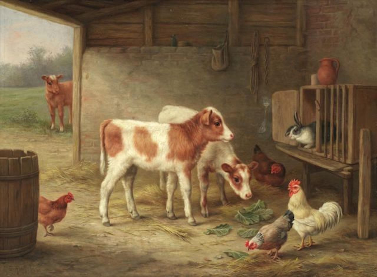 A barn interior with two Ayrshire calves, a cockerel, hens and a rabbit by Edgar Hunt