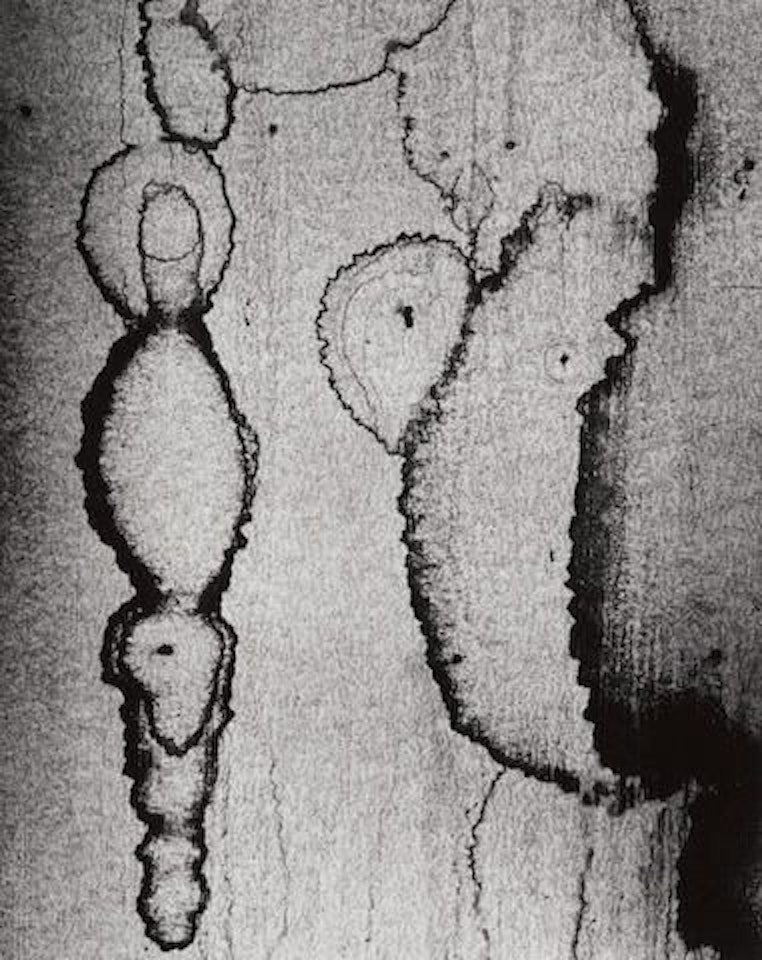Stained Wallpaper, Eastern Oregon by Ansel Adams