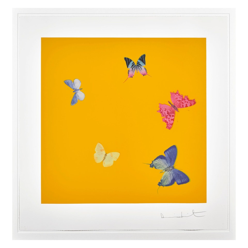SWEET DISORDER by Damien Hirst