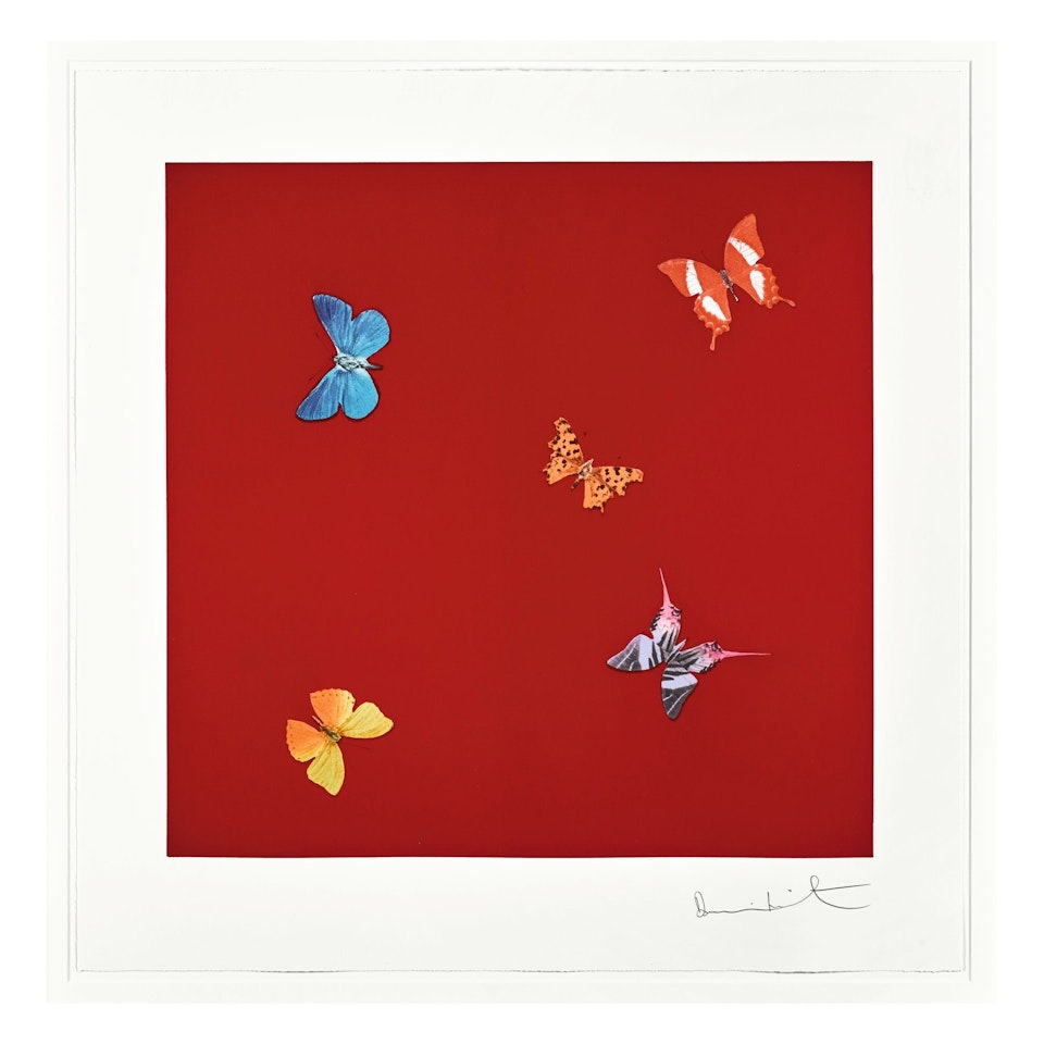 SHE WALKS IN BEAUTY by Damien Hirst