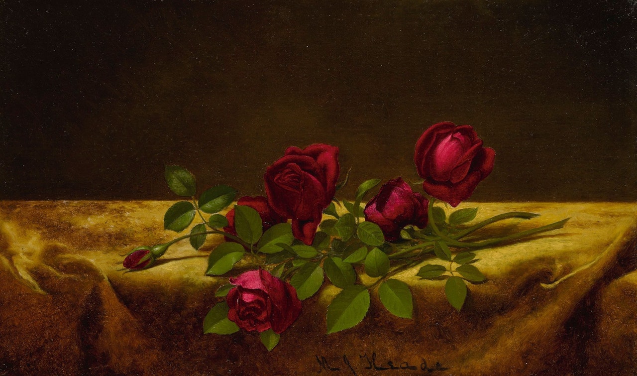ROSES LYING ON GOLD VELVET by Martin Johnson Heade