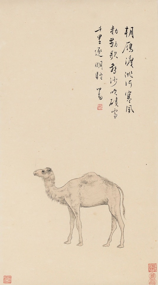 CAMEL by Pu Ru
