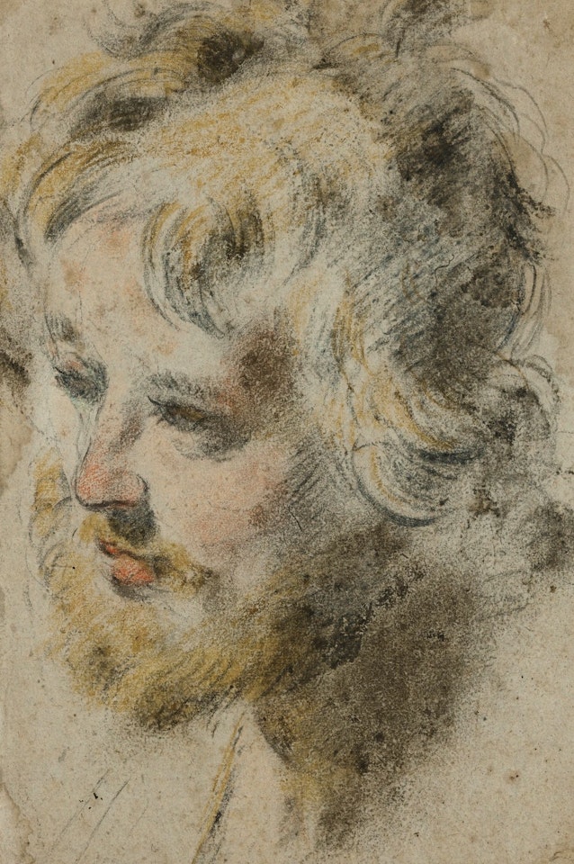 STUDY OF A MALE HEAD by Pier Francesco Mola