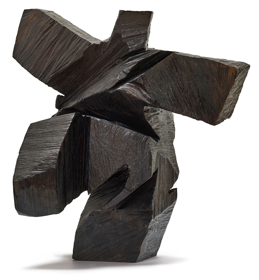 TAICHI SERIES by Ju Ming