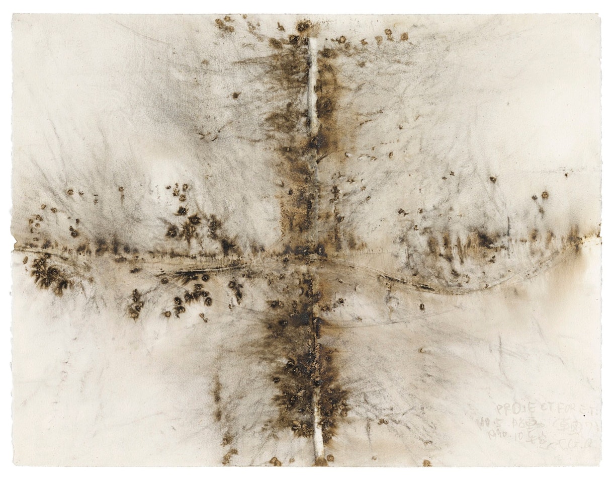 FETUS MOVEMENT - PROJECT FOR EXTRATERRESTRIALS NO.5 by Cai Guo-Qiang