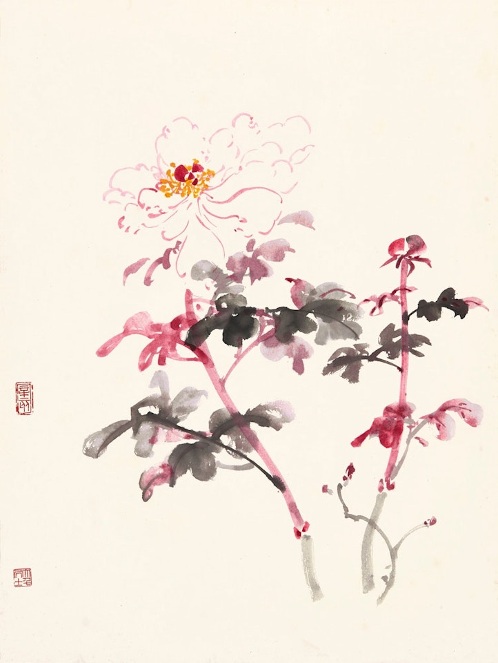 PEONY by Zhang Daqian