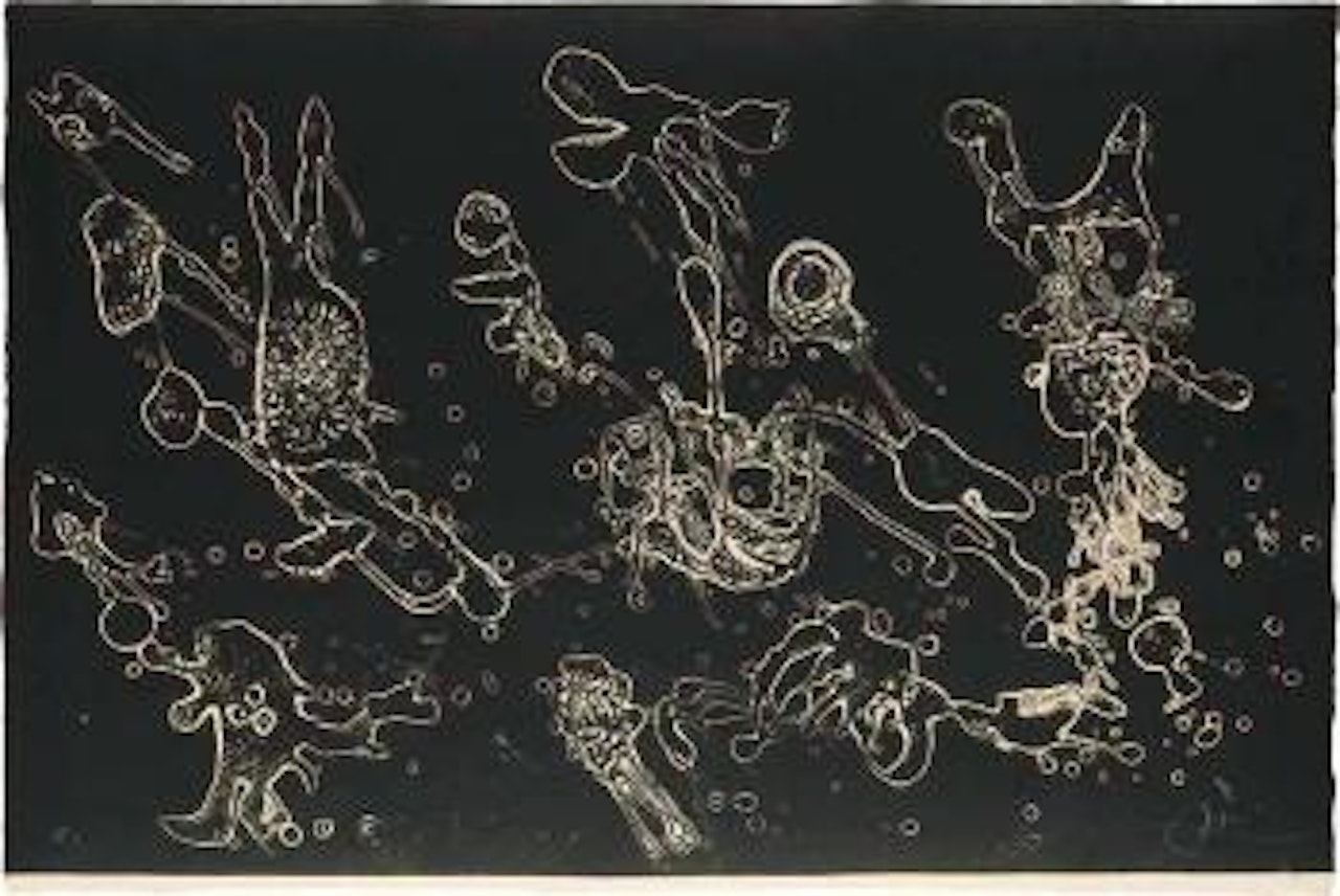 Barcelona ,
1973 by Joan Miró