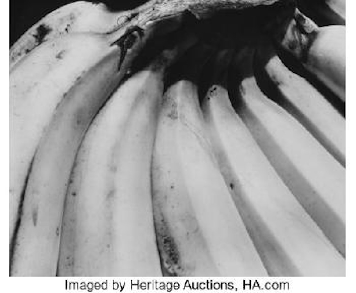Bananas ,
1930 by Edward Weston