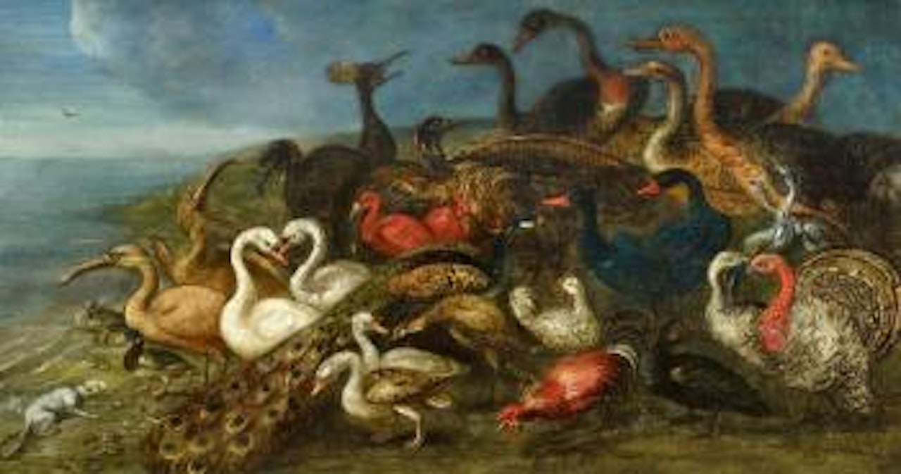 Ducks, geese, a peacock, and other birds by the seashore , by Flemish School