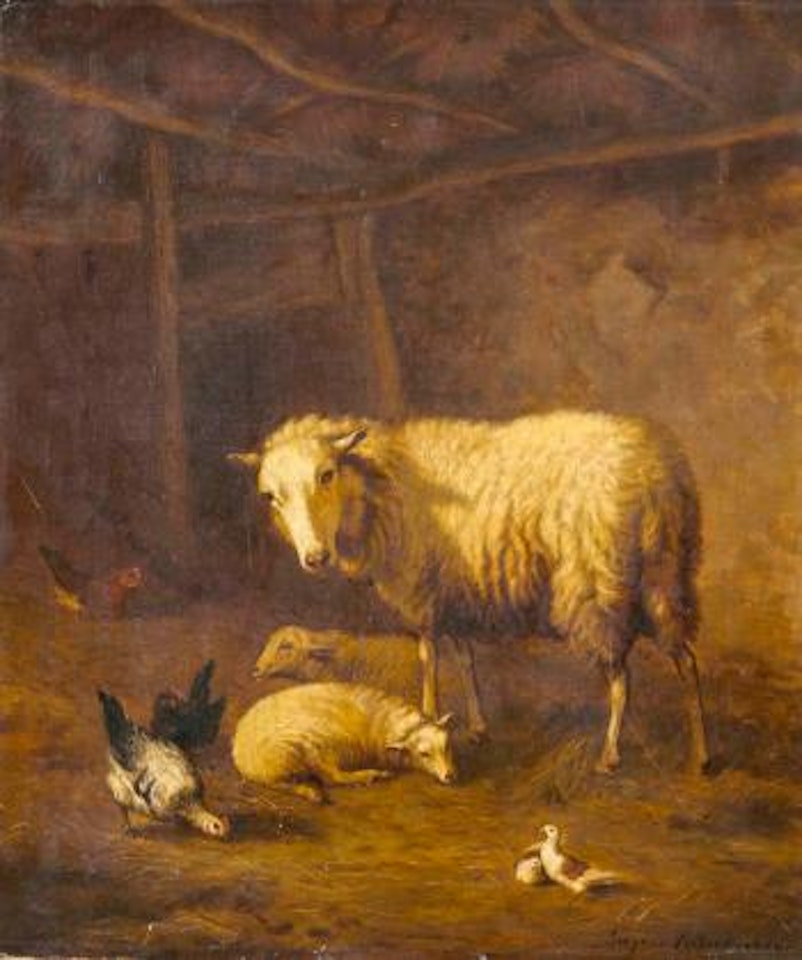 Schafe mit Federvieh im Stall , by Eugène Joseph Verboeckhoven
