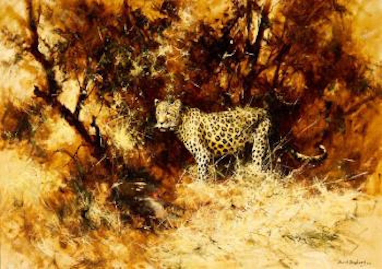 Leopard and his kill ,
1962 by David Shepherd