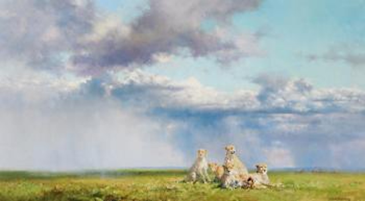 The angry sky - cheetahs ,
1985 by David Shepherd