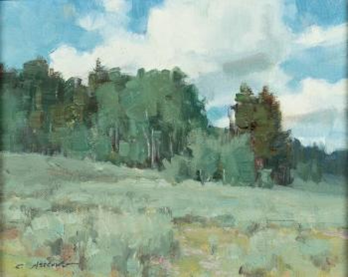 Colorado clouds , by Clyde Aspevig